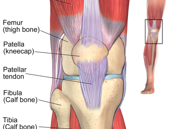 Patellofemoral Pain Syndrome Stirling Central Podiatry